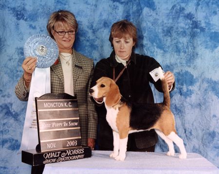 Carly, winning Best Puppy in Show in Moncton, 2003
