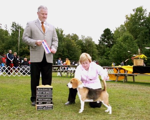 Jacky Winning Best of Breed in Pictou