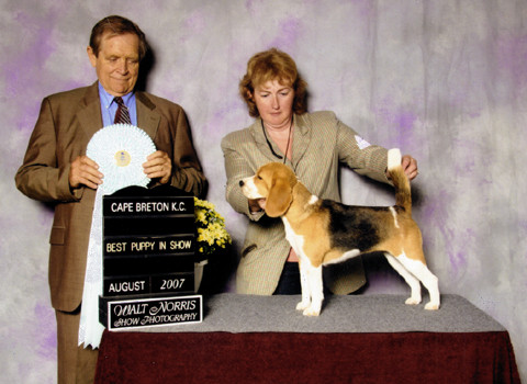 Minnie! Shown winning Best Puppy in Show